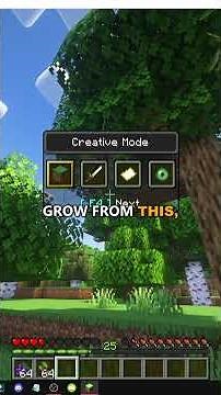 HOW TO FIND WILD GRAPES in MINECRAFT Kaleidoscope