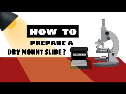 How to Prepare a Dry Mount Slide || Learning Practicals || #biology #bio #practicals #learning #lab