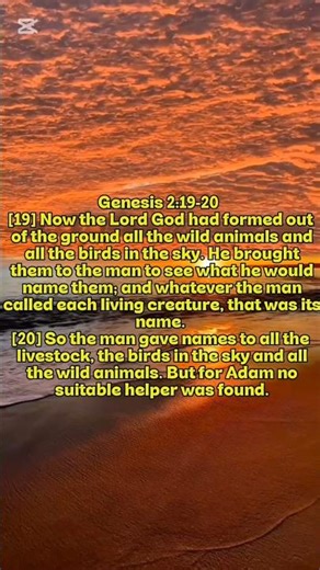 Genesis 2:19-20