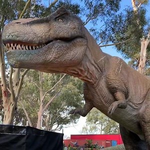 4.2K views · 20 reactions | This weekend is the last chance to see the dinosaurs at Jurassic Creatures at Bonython Park. If you have a dinosaur lover and haven’t been yet, catch it before they leave town. 練秊 See our review for details https://playandgo.com.au/index.php/jurassic-creatures-dinosaurs-adelaide-tips-review/ | Play & Go Adelaide | Facebook