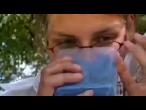 Animal Research on Chimpanzee Mating Behaviours | BBC Studios