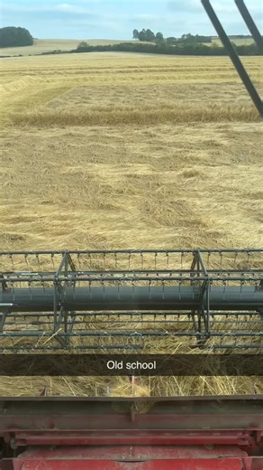 Who needs a macdon #macdon #combine#harvest#header #case#caseihagriculture #fyp#foryou #farmlife #farmtok #foryoupage