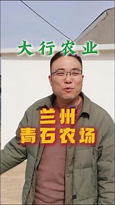 科技农场实际案例--兰州青石农场