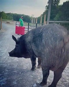 349K views · 1.3K reactions | We showed this video a few days ago...