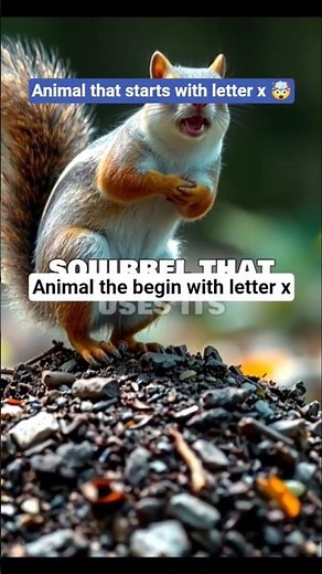 “Think Fast! Animal Starting With X 🐿️”