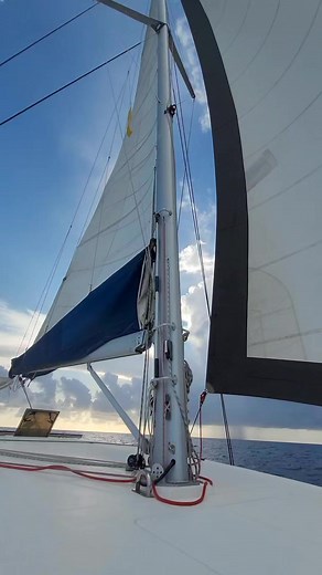 Catamaran Ray Shell on Reels