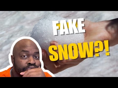 Was this snow storm fake?! people seem to think so