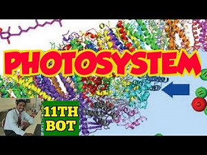 PHOTOSYSTEM | TAMIL | REACTION CENTRE | PIGMENTS TYPES | PHOTOSYNTHESIS IN HIGHER PLANTS | STD 11