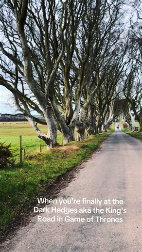 Exploring the Dark Hedges: King's Road from Game of Thrones