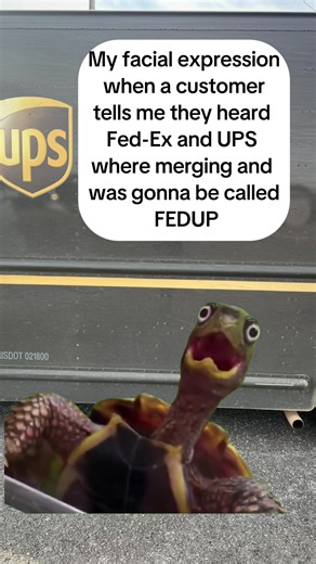 Exploring the Upsers Lifestyle and Memes