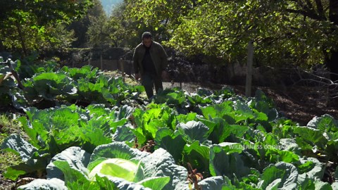 This Is How Ukrainian Borscht Is Really Meant to Be Eaten