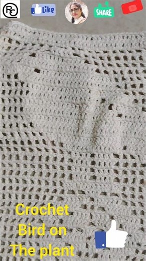 Filet crochet with me! 💐 #crochet #crocheting #shorts