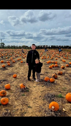 1.2K views · 15 reactions | Elizabeth Sheldrake on Reels | Facebook