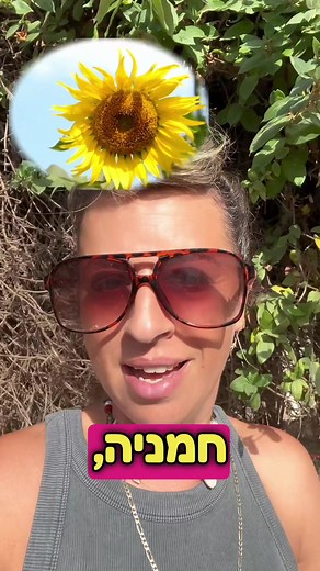 פרח החמניה: מהו הסוד שבשם?