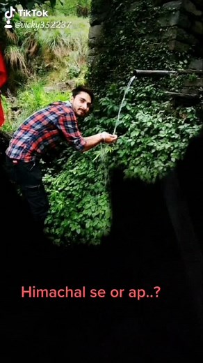 #phari_swag_being_himachali ##vicky352237 #tiktoklover