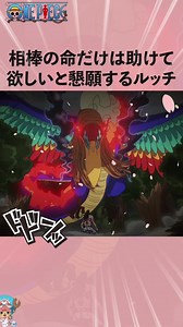 相棒の命だけは助けて欲しいと懇願するルッチ #onepiece #ワンピース #アニメ #雑学