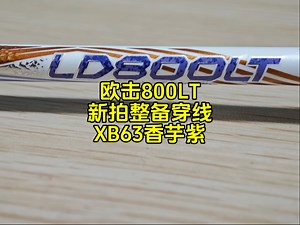 欧击柳丁800lt，新拍整备，穿线xb63香芋紫。