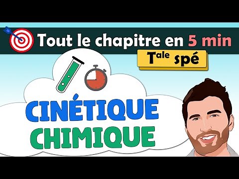 🔥 Cours CINÉTIQUE CHIMIQUE Terminale ⏱️ spé physique chimie - Fiche de révision | Lycée