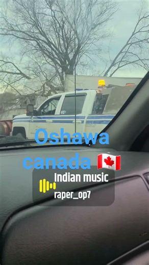 Another fake driver's license on qualified to drive in this country. #worstdrivers #liardriver #fyp