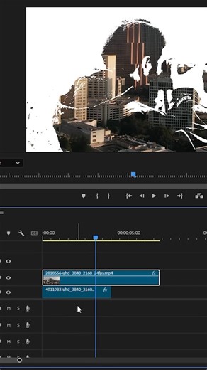 Anant | Sahil on Instagram: "Double exposure effect #pixfolio01 #videoediting #editing #effect #tutorial #adobe #viral #trendingreels #reelitfeelit #explore #fyp"