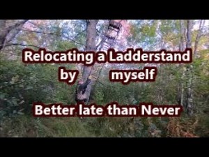 Relocating a Ladder stand by myself