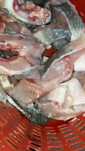 Cooking Fresh Fish: A Step-by-Step Guide