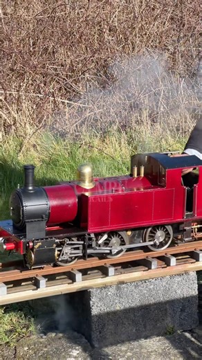LITTLE LOCO POWER! A Miniature Steam Locomotive working hard on the Railway 🚂💨 #MiniatureRailway