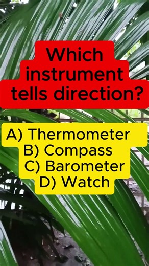 Which Instrument Shows Direction? 🧭 Science Quiz | IQ VistaX