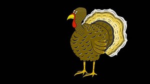 Turkey Walks-thanksgiving Title-transparentalpha Channelcartoon Animated Turkey Stock Footage Video (100% Royalty-free) 20815153 | Shutterstock