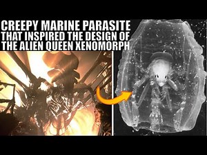 Terrifying Marine Parasite That Inspired The Alien Xenomorph Queen