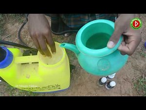 Guava Tree Fertilizer - How And When To Fertilize Guava Trees? - 10 Minute Videos