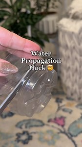 114K views · 905 reactions | 勞 GAME-CHANGING Water Propagation Hack!!...