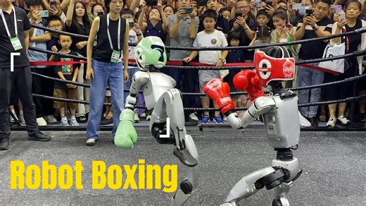 Humanoid robots slugging it out in next-gen fight club