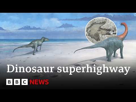 One of the world’s longest dinosaur trackways uncovered in UK | BBC News