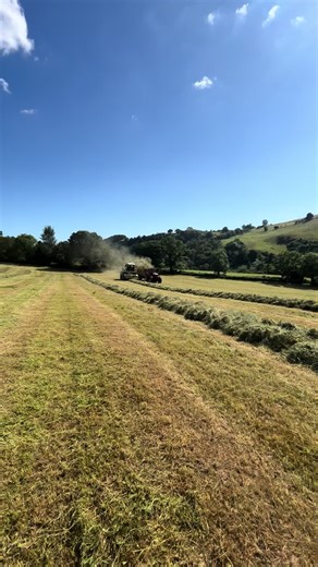 Beef Farming Insights: First Cut Overview