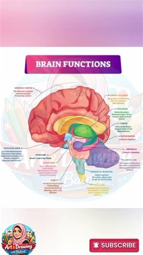 DIAGRAM 68 #biologydiagram #drawing #medicalstudents #heart #biology #science #medical #viralvideo