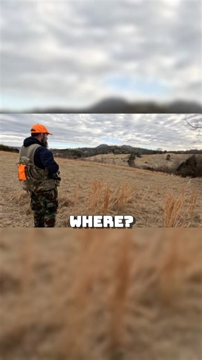 Rabbit Hunting Excitement