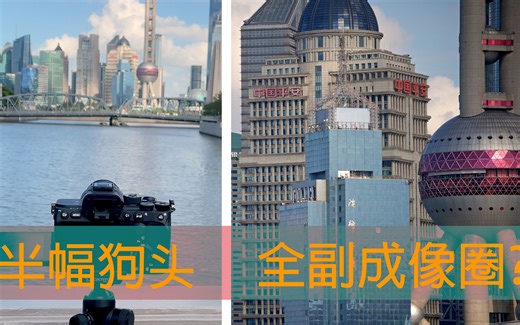 SONY 55-210, 半幅狗头，全副成像圈？