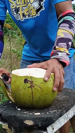Awesome husking Large coconut