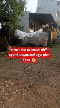 😨मायराला पाहून या साऱ्या गोष्टी म्हणजे माझ्यासाठी खूप मोठा Task ☹️‪@ChimkhaMayra‬ #minivlog #short