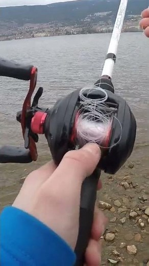 How To Get Rid Of A Backlash Quickly And Effectively #Shorts