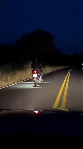 Unexpected Road Encounter Stops A Cyclist Instantly