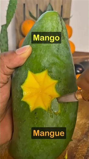 How do you say Mango in French 🇫🇷 #LearnFrench #FrenchVocab