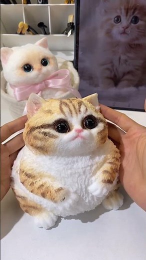 Testing the ULTIMATE Napoleon Cat Squishy Toy! 🐱👑 So Satisfying! #cat #cutecat #cute #animals