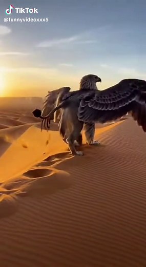 Griffin spotted in the desert #gryphon #mythology #mystery #rare #foryoupage