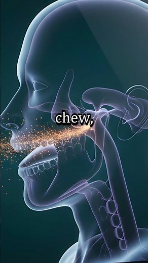How Smell Builds Flavor—and Locks in Memory