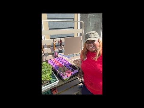 Greenstalk Bundle Give-Away!