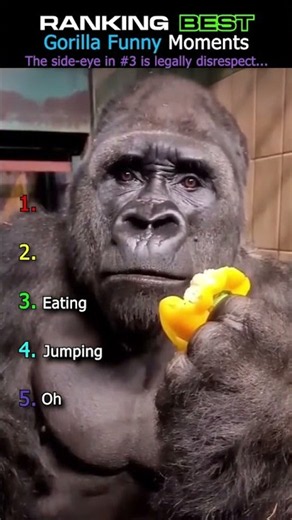 Gorillas Acting Way Too Human! 🦍💀 #shortsusa