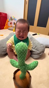 645K views · 17K reactions | The talking cactus is hilarious!  #baby #toys | Toys BabyFin | Facebook