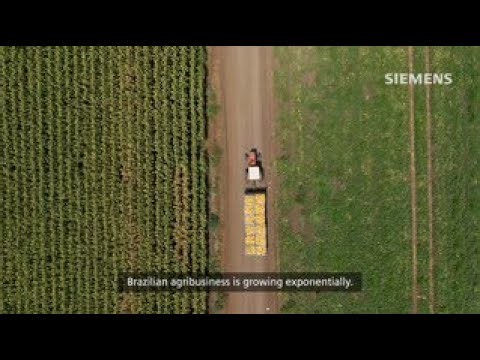 Traceability in the Food and Beverage industry